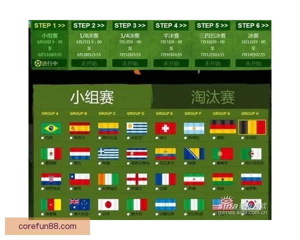 世界杯竞猜平台分析与投注技巧，助你精准预测比赛结果